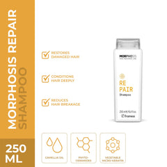 Framesi Shampoo Repair 250ml