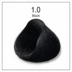 Hair color shade swatch 1.0 Black