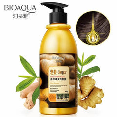 BioAqua Shampoo Ginger 58840 400Gm - YehChez.pk