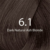 Hair dye color swatch for Dark Natural Ash Blonde 6.1