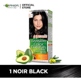Garnier Hair Color 1 Natural Black - YehChez.pk