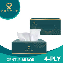 4-ply tissue box with white tissues, large arbor style