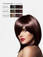 3.6 Hello Hair Color Deep Mahogany Brown 100g