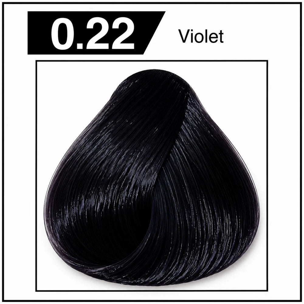 Hair color shade 0.22, violet, glossy deep black-violet hair tone