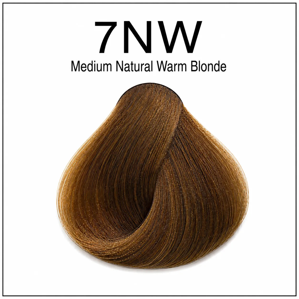 Hair color shade 7NW medium natural warm blonde swatch
