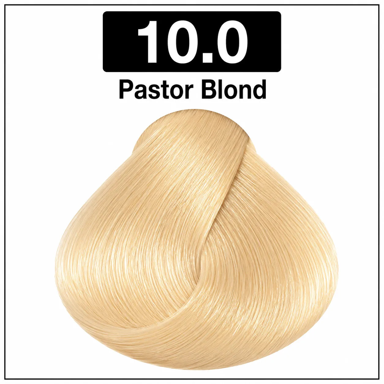 Hair color shade 10.0 Pastor Blond, light beige blonde cream