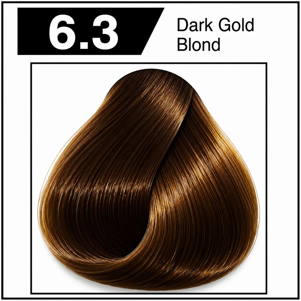 Hair color swatch card 6.3 Dark Gold Blond