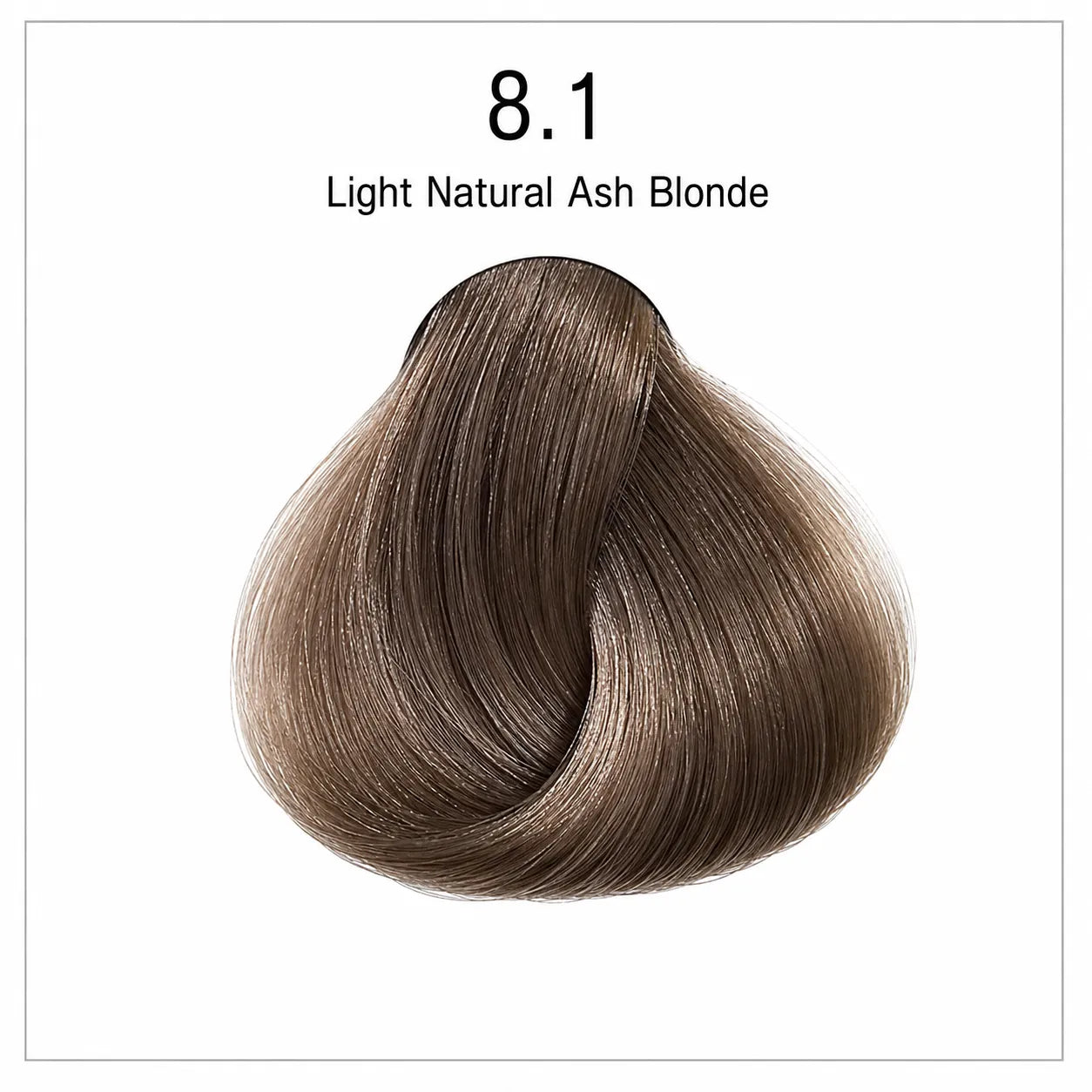 Hair color shade swatch 8.1 light natural ash blonde, curled hair texture sample.