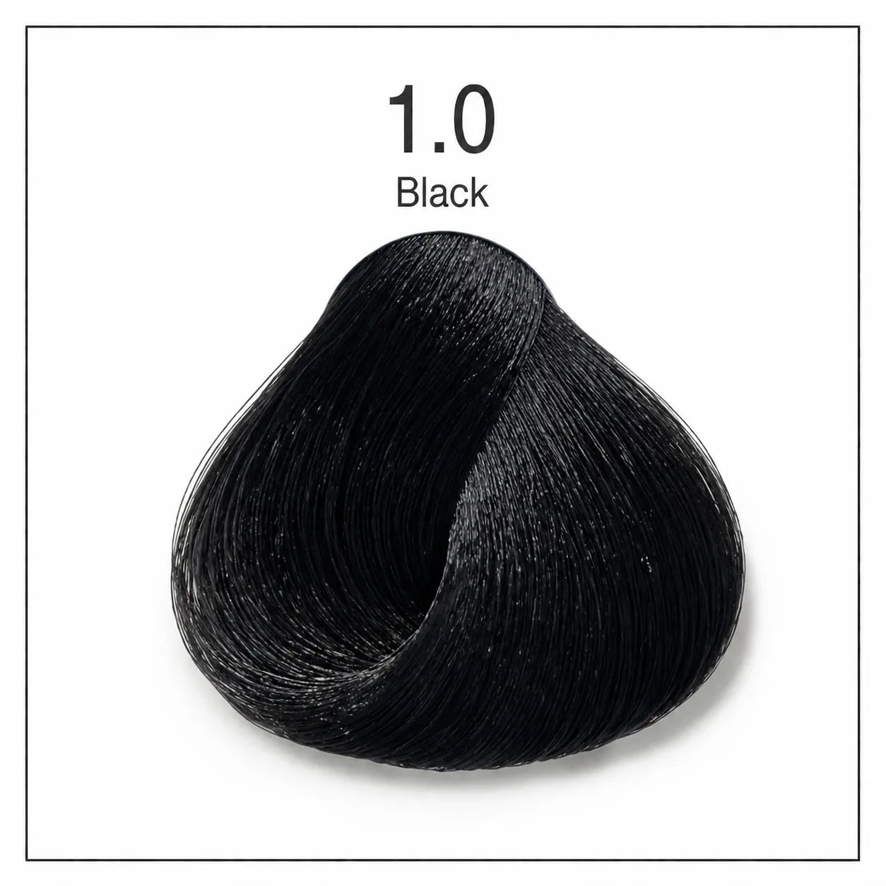 Hair color shade swatch 1.0 Black