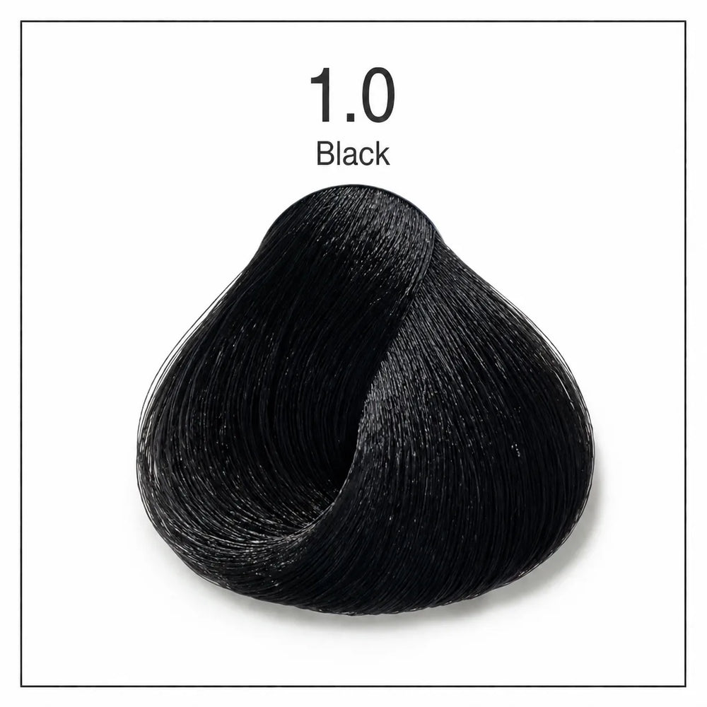 Hair color shade swatch 1.0 Black