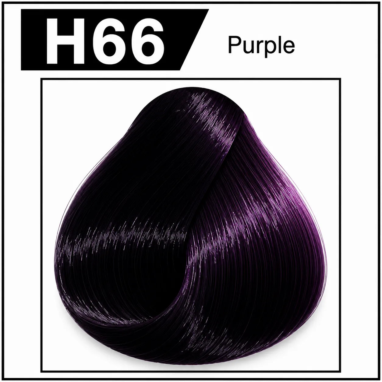 Bremod hair color H66 Purple shade chart with dark purple hair swatch