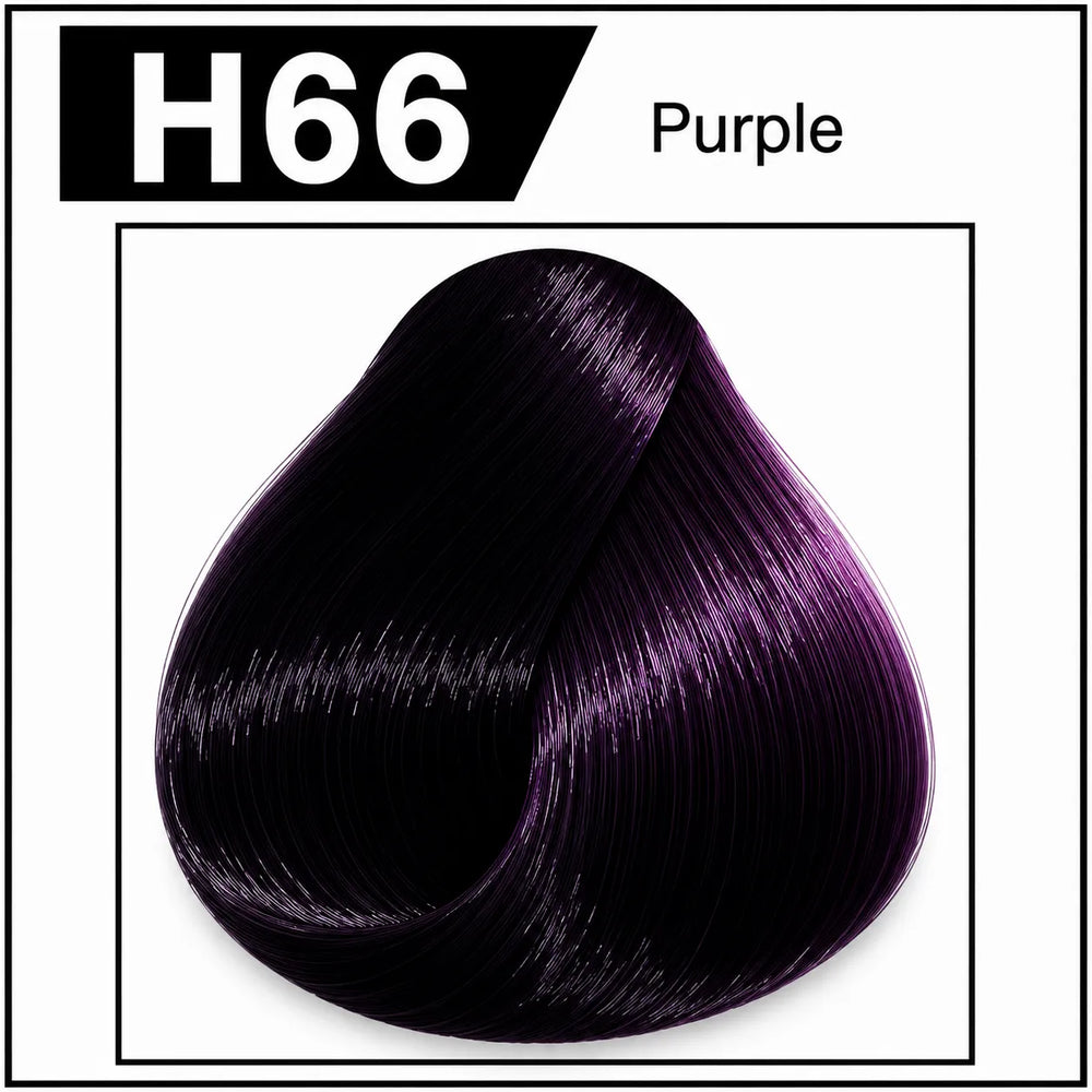 Bremod hair color H66 Purple shade chart with dark purple hair swatch