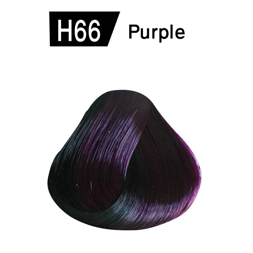 H66 Bremod Hair Color 100ml - YehChez.pk