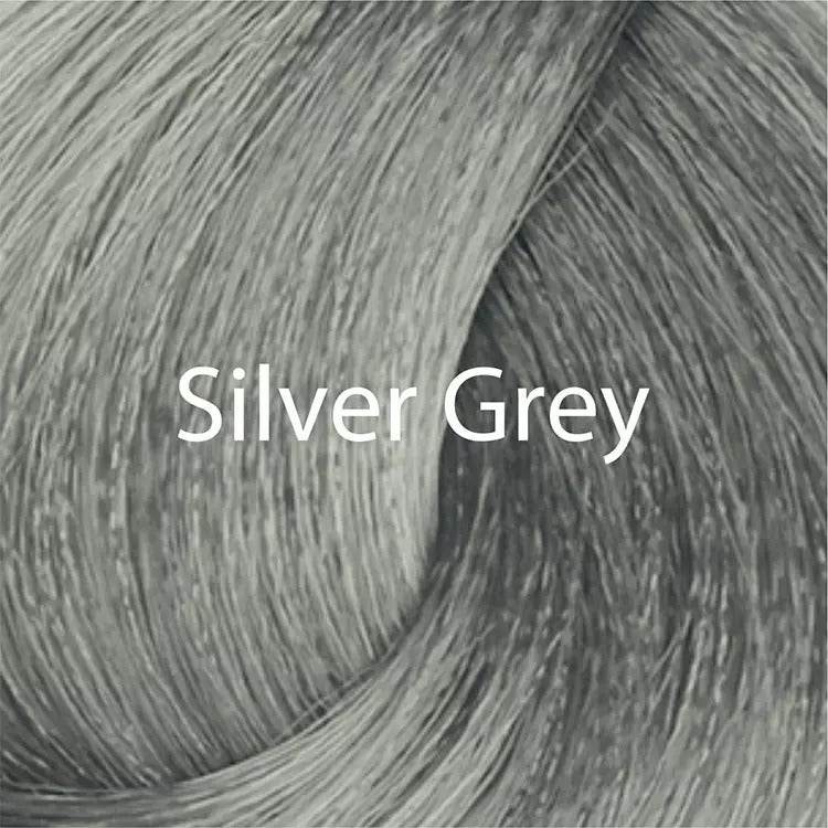 EaziColor Tube Silver Grey 60ml - YehChez.pk