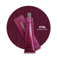 6VM Framesi Hair Color 60ml