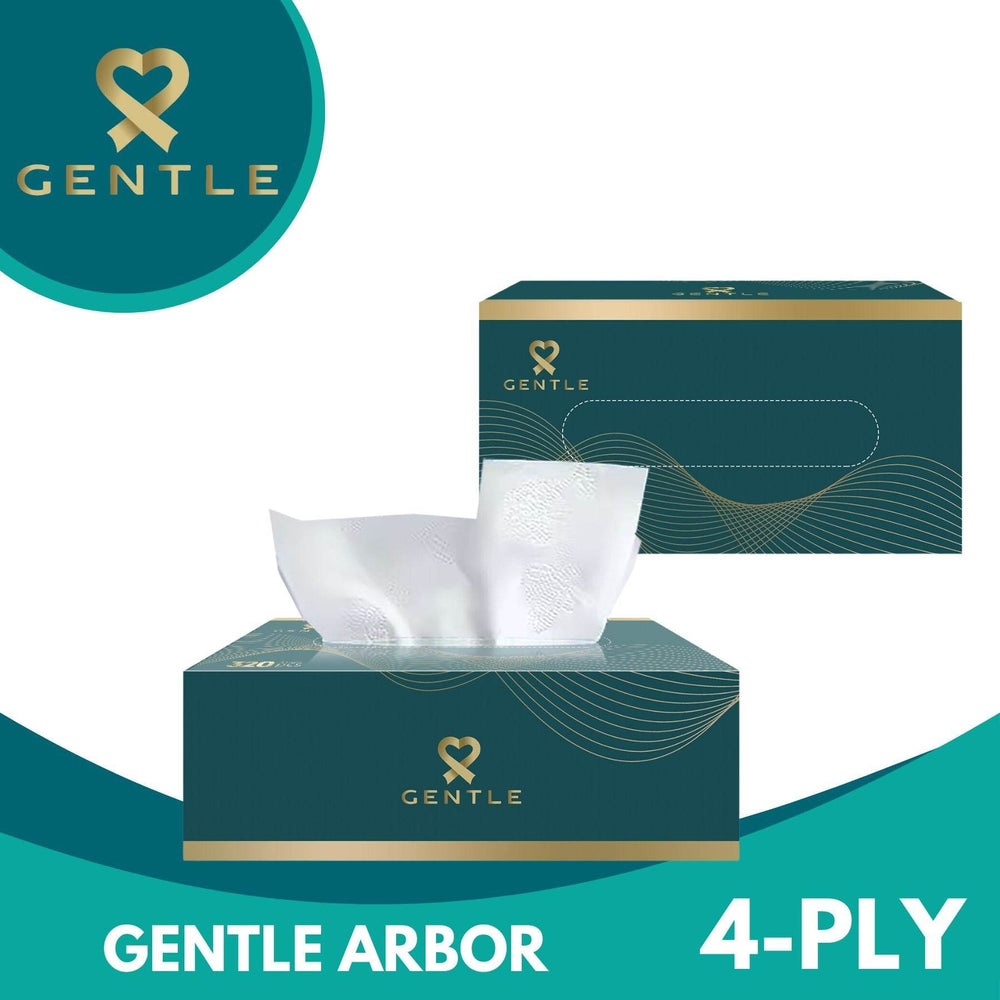 4-ply tissue box with white tissues, large arbor style
