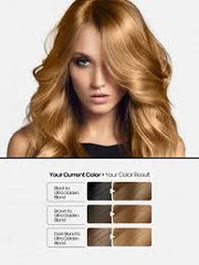 9.3 Hello Hair Color Ultra Golden Blond 100g