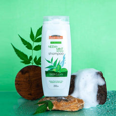Saeed Ghani Shampoo Neem & Mint 200ml - YehChez.pk